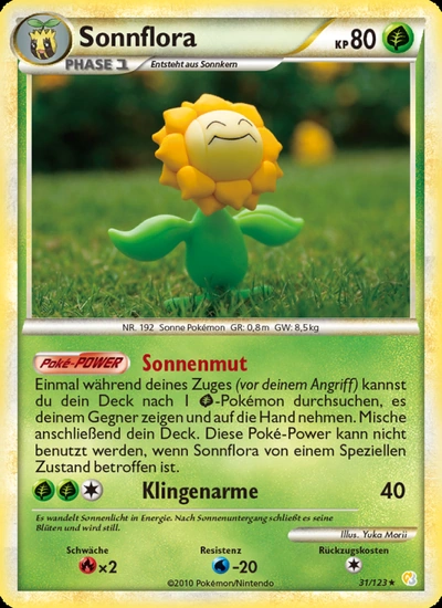 Sonnflora
