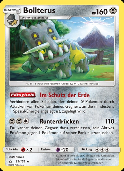 Bollterus