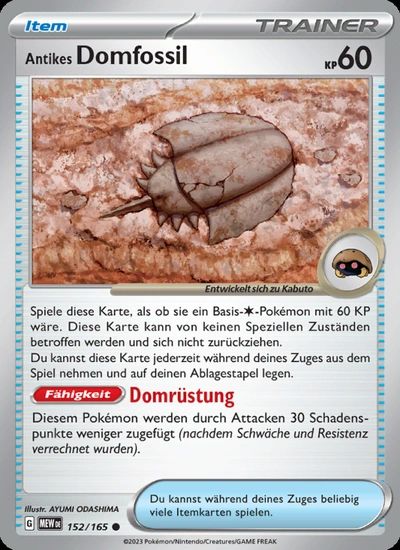Antikes Domfossil