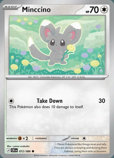 Minccino