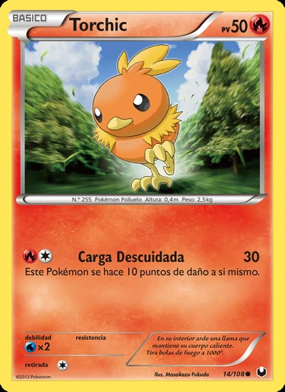 Torchic