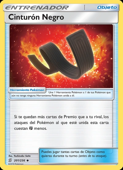 Cinturón Negro