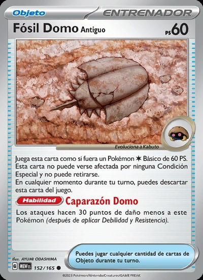 Fósil Domo Antiguo
