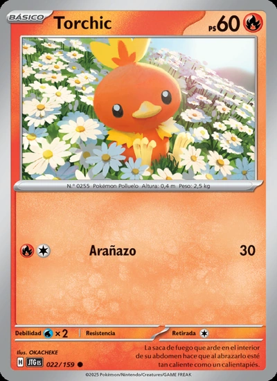 Torchic