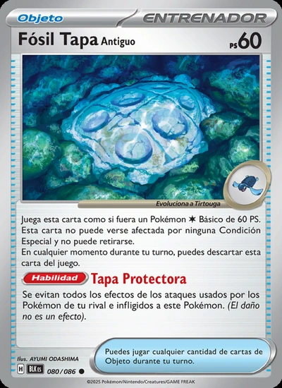 Fósil Tapa Antiguo