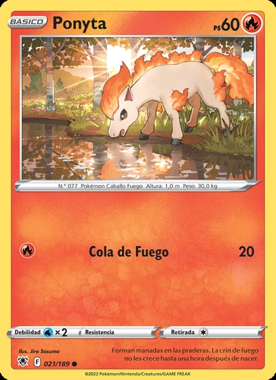 Ponyta