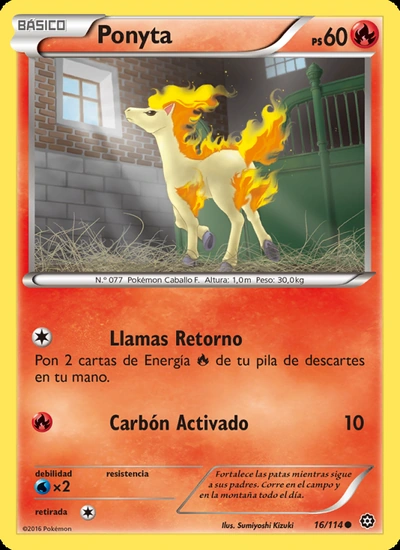 Ponyta