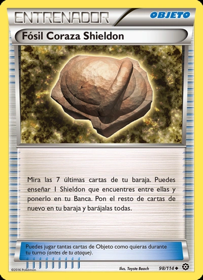 Fósil Coraza Shieldon