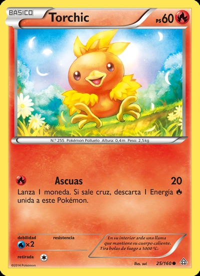 Torchic