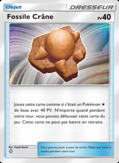 Fossile Crâne