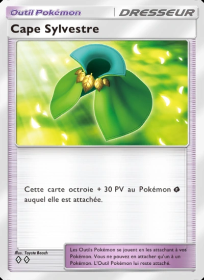 Cape Sylvestre