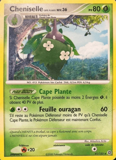 Cheniselle Cape Plante