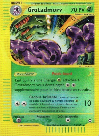 Grotadmorv