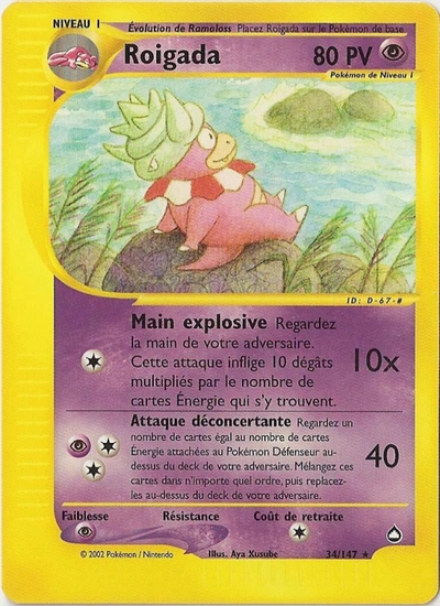 Roigada