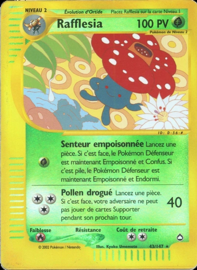 Rafflesia