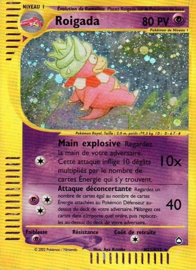 Roigada