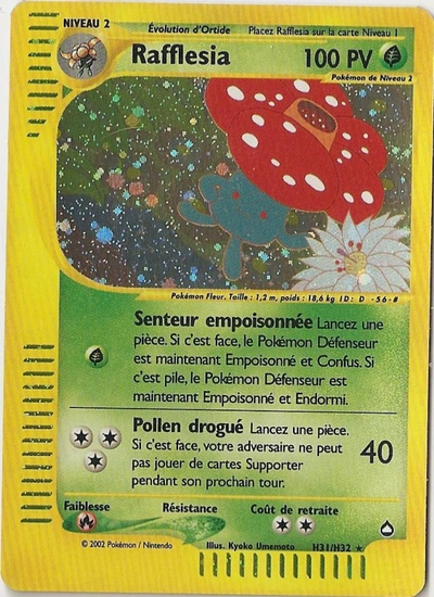 Rafflesia