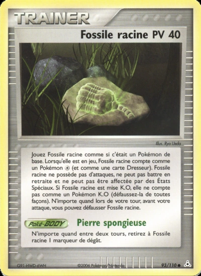 Fossile racine