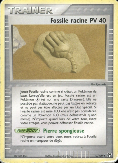 Fossile racine