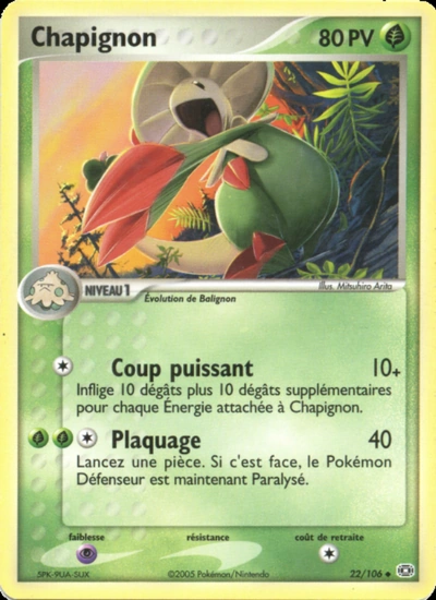 Chapignon