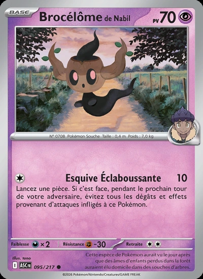 Brocélôme de Nabil