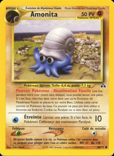 Amonita