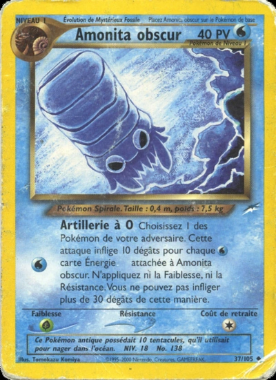 Amonita obscur