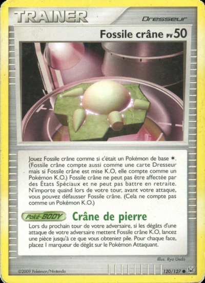 Fossile crâne