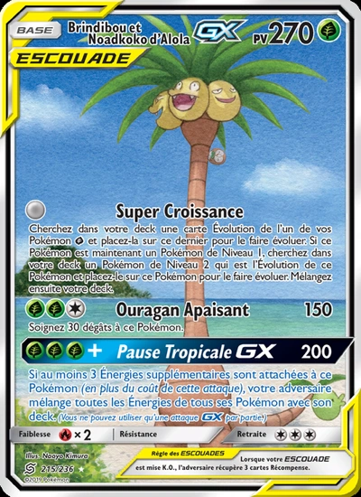 Brindibou et Noadkoko d’Alola GX