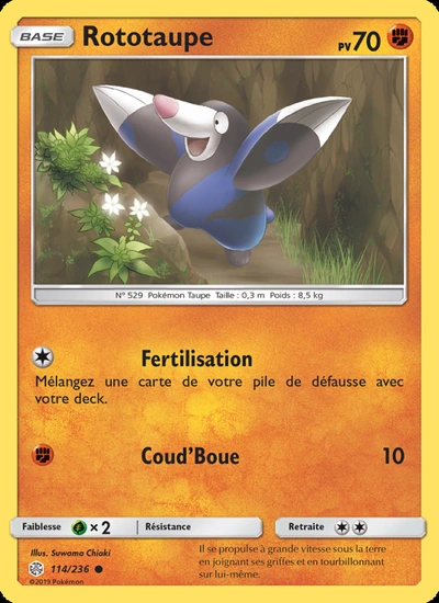 Rototaupe