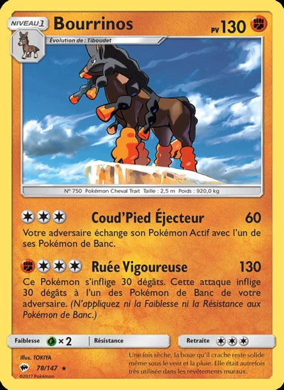 Bourrinos