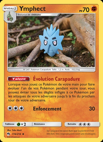 Ymphect