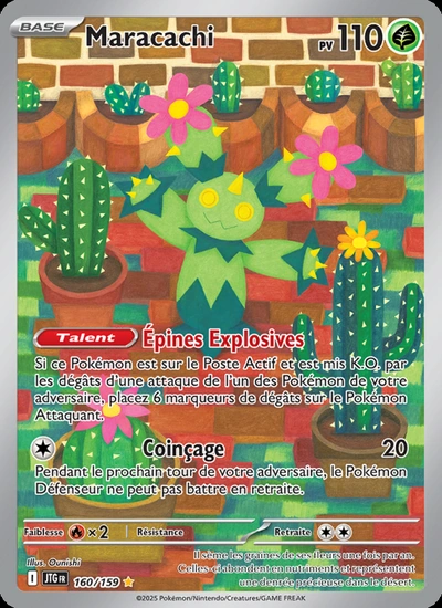 Maracachi