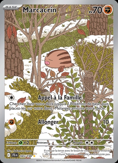 Marcacrin