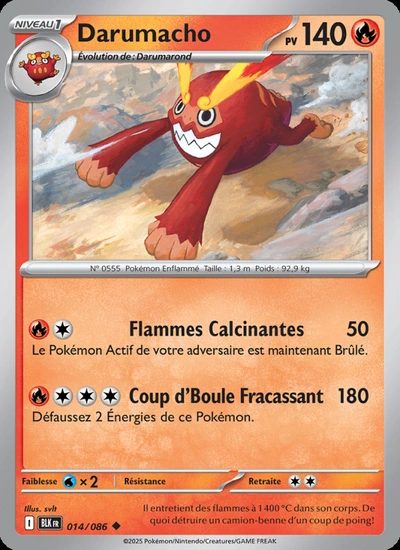 Darumacho