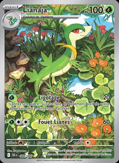 Lianaja