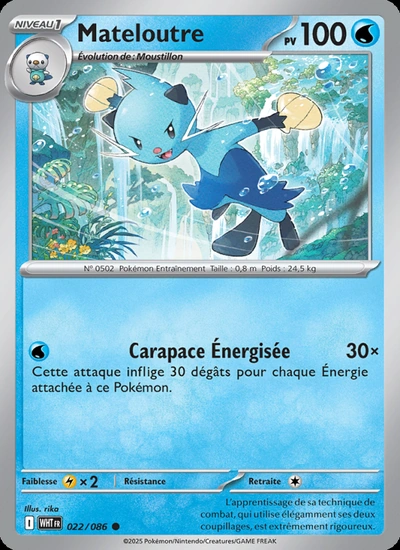 Mateloutre