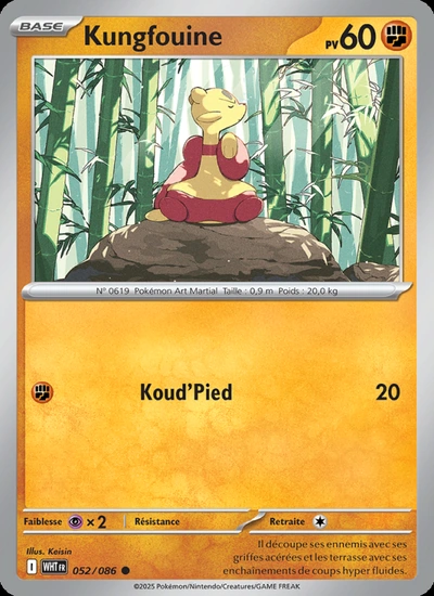 Kungfouine