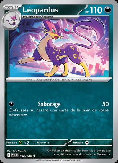 Léopardus