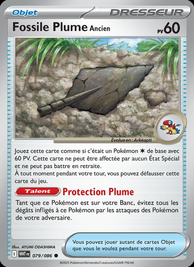 Fossile Plume Ancien