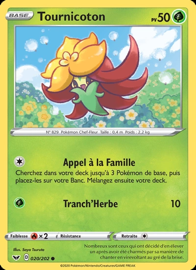 Tournicoton