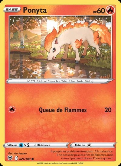 Ponyta