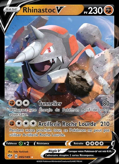 Rhinastoc V