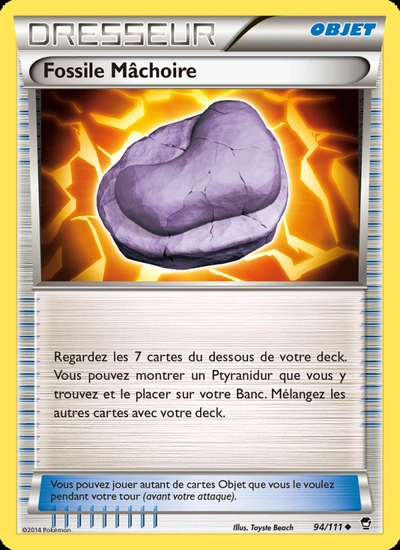 Fossile Mâchoire