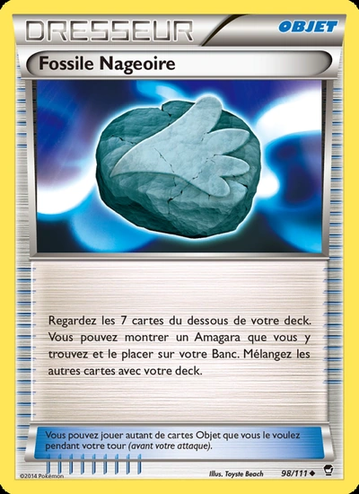 Fossile Nageoire