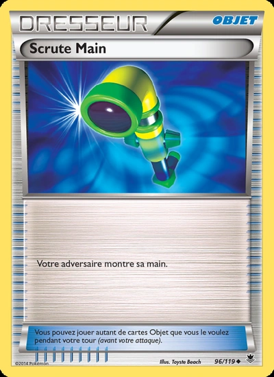 Scrute Main