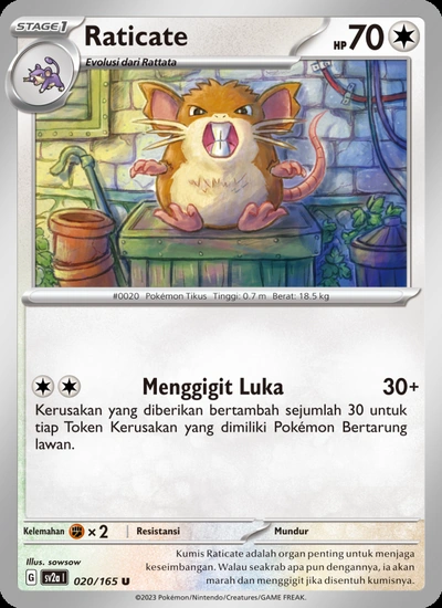 Raticate