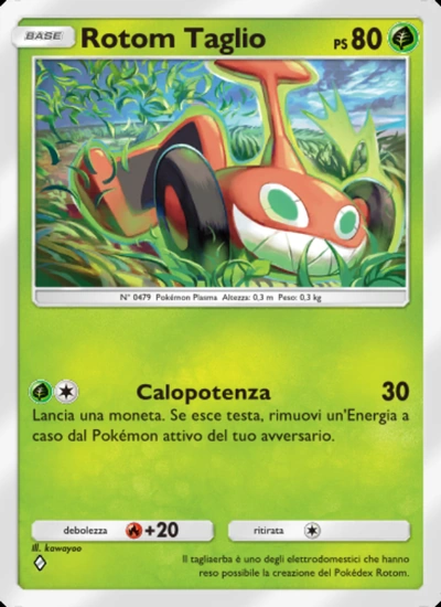 Rotom Taglio