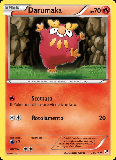 Darumaka