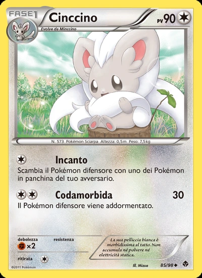 Cinccino